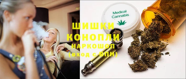 apvp Алексин