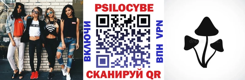 Псилоцибиновые грибы GOLDEN TEACHER  Мамадыш 
