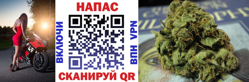 Шишки марихуана семена  купить   Мамадыш 